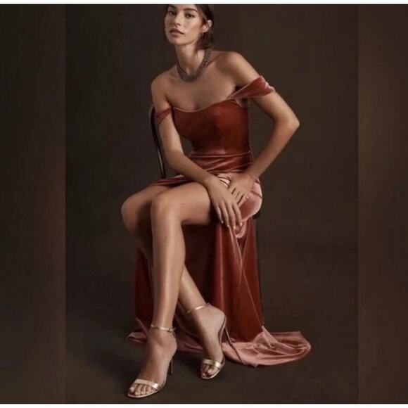 Jenny Yoo Issa Velvet Bridesmaid Off Shoulder Maxi Dress in Cinnamon Rose Sz 4 - Picture 2 of 7